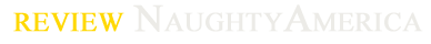 NaughtyAmerica logo